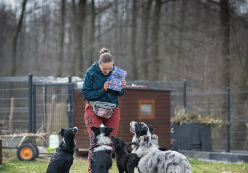 Jeśli tego nie zmienimy, pogryzień będzie więcej. Katarzyna Harmata apeluje