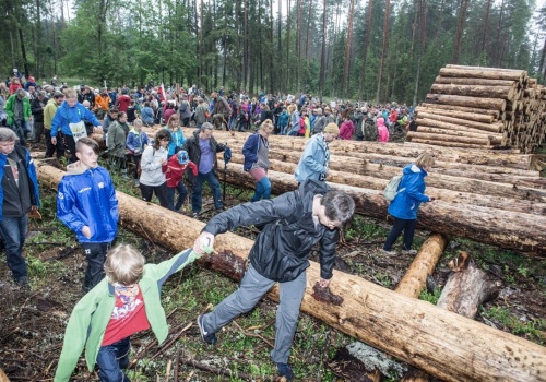 Niszczyć rezerwaty przyrody można bez pytania, chronić już nie