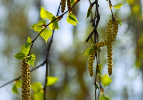 Pogoda na piątek. Słońce, wiatr i przelotne opady