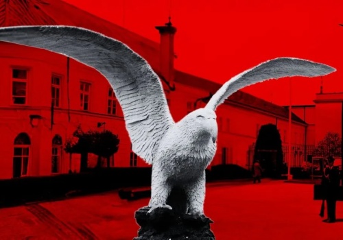 Polska pamięć, polska niemoc. O patriotyzmie bezobjawowym