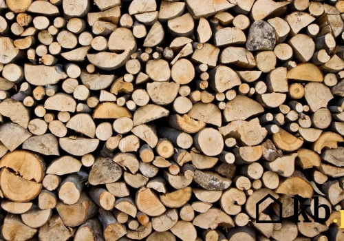 Buk czy sosna do kominka? Jedno pali się znakomicie i daje ciepło, drugie to same problemy