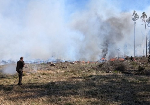 Pożar lasu na Mazurach. Ogień objął aż 16 hektarów