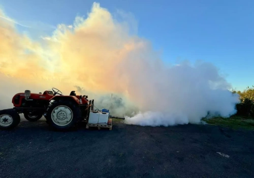 Przymrozek po weekendzie. Plantacjom jagodowym zostały dwa-trzy dni
