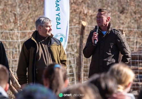 Rośnie zielone Pomorze Zachodnie. Tysiące drzew posadzonych przez uczniów