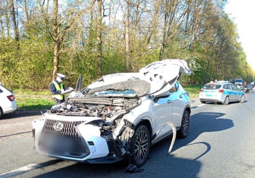 Utrudnienia na DK92 w Kościelcu. Zderzenie z łosiem, dwie osoby ranne