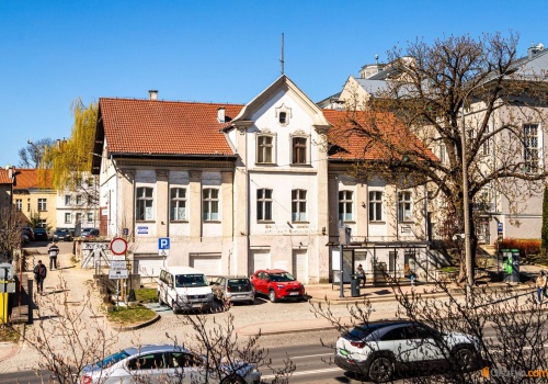 Stuletni kasztanowiec przy teatrze do wycinki. 