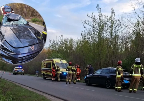 Wypadki ze zwierzętami. Jedno auta uderzyło w łosia, drugie omijało kilka saren i wpadło do rowu