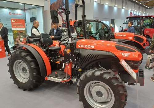 Dla Turków z Basaka 8 milionów euro za Goldoni to drobne. Czy przejmą legendę?