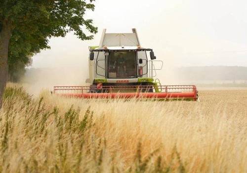 Prognozy wskazują na spadek produkcji unijnej pszenicy w nadchodzącym sezonie