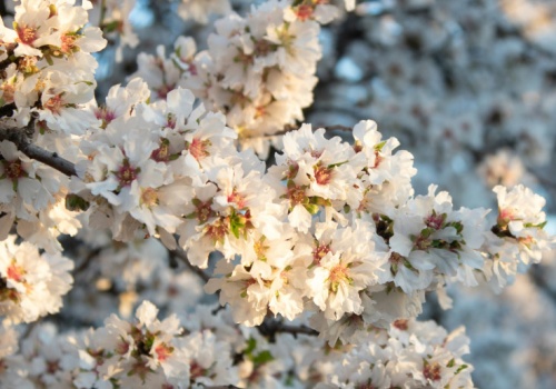 Cytat o tym czym jest sukces