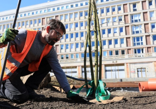 Plac Powstańców Warszawy przechodzi metamorfozę. Ogród muzyki, pergole i...