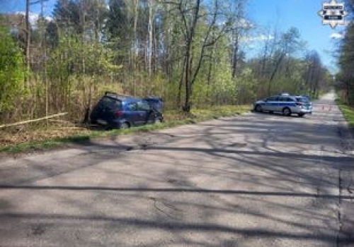 Auto wjechało w posła Litewkę. Potrzebne są duże zmiany