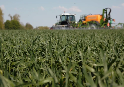 Nowy herbicyd na odporne chwasty w zbożach, kukurydzy i rzepaku. Isoflex® dopuszczony w UE