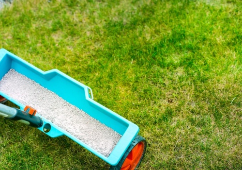 Jak wyrównać trawnik? Genialny sposób na górki i dołki