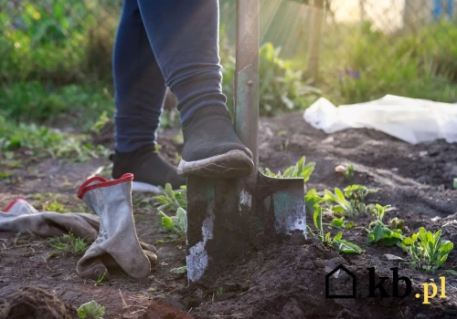 Kara od tysiąca do miliona złotych za coś, co właściciele działek robią nagminnie i za darmo