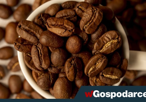 Uwaga na podrabianą kawę! Uruchom węch, smak i wzrok