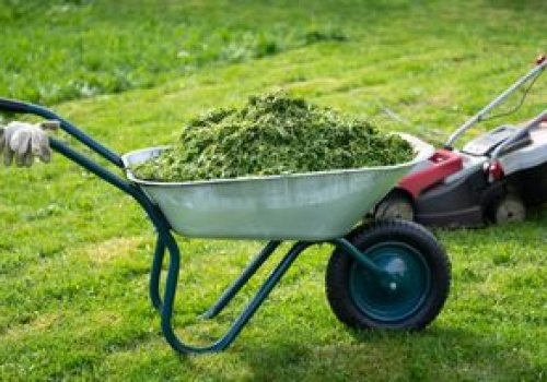 Uważaj po skoszeniu trawy. Przyłapany zapłaci mandat