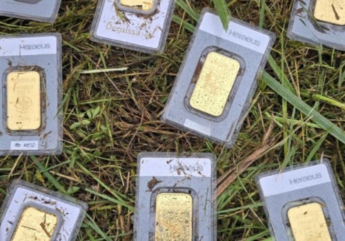 Niezwykłe znalezisko podczas koszenia zarośniętego trawnika. 