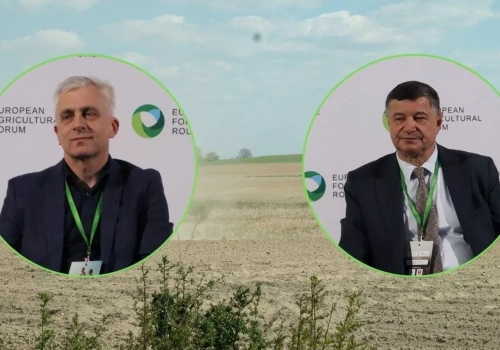 Susza zmienia zasady gry. Część rolników przegra