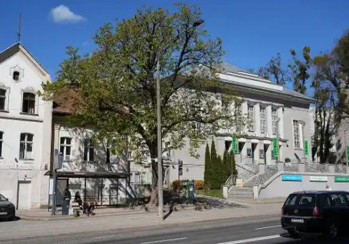 Koniec pewnej ery przy Teatrze Jaracza. Historyczny kasztanowiec musi zostać usunięty