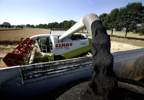 24.04.2026 Ceny skupu zbóż, kukurydzy, oleistych i strączkowych: rzepak nadal drożeje