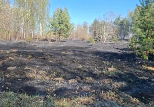 Podpalił i sam został poparzony. Bezmyślne zachowanie przyczyną groźnego pożaru