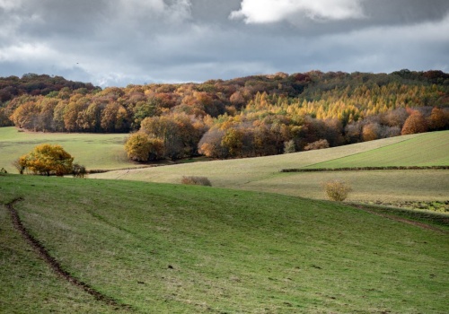 Ten kierunek Polacy odkrywają na nowo. Taniej niż nad Bałtykiem, a widoki zachwycają
