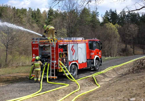Wojewódzkie ćwiczenia ratownicze „LESKO 2026”