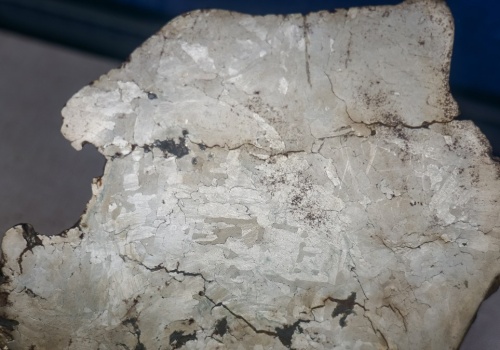 Meteoryt żelazny znaleziony pod Łodzią. Eksperci: To pozostałość po bolidzie