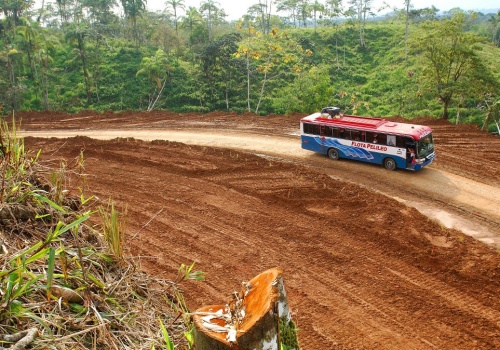 Amazonia nie była dzika. Sensacyjne odkrycia archeologów w dżungli