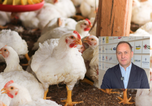 Więcej drobiu z Mercosur w UE? Branża ostrzega przed skutkami umowy