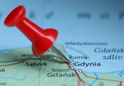 Gdynia ma 17 pomysłów na to, jak pozbyć się dzików. Nie, nie chce do nich strzelać