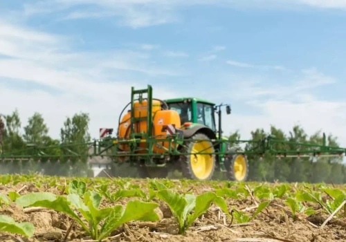 Susza i przymrozki komplikują odchwaszczanie buraka. Tu liczy się szybka reakcja