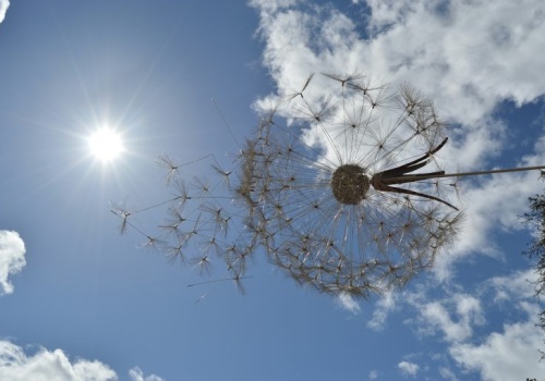 Ciepła sobota w Łódzkiem. Ciepła i wietrzna