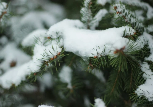 Śnieg w weekend. IMGW ostrzega przed nagłym załamaniem pogody