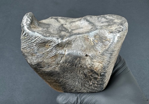 Nowy meteoryt żelazny w Polsce