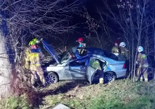 Jeleń na drodze, Volvo w rowie. DK-58 zablokowana!