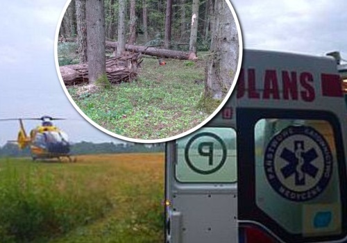 Dwaj bracia zginęli w ten sam sposób. Niewyobrażalna tragedia rodziny z Podkarpacia