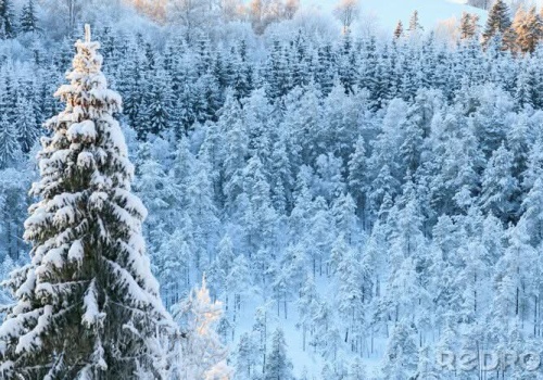 WSZAK i KLOC. Odcinek: „Powrót z Sybiru”