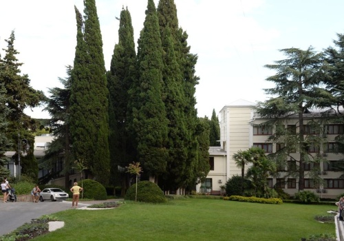 Pojechała odwiedzić mamę w sanatorium. 