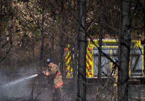 Potężne pożary w USA. Setki domów w ogniu, mieszkańcy ewakuowani