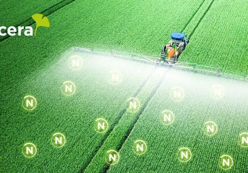 Jak stosować ENCERA WG zgodnie z etykietą? Dawka, termin zabiegu i najważniejsze warunki aplikacji