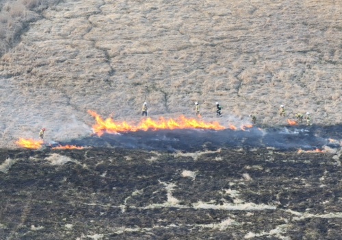 Ogromny pożar traw na łąkach nadnoteckich