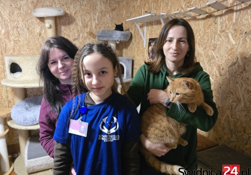 Zwierząt w schronisku coraz mniej, ale zostają na dłużej