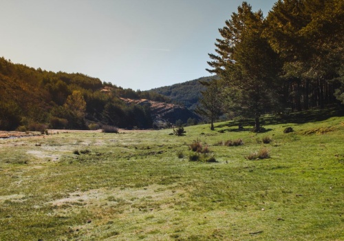 Majówka za pasem, a noclegów brak? Te kierunki wciąż mają wolne miejsca