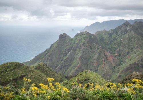 Kanaryjski projekt CanBio: przełomowe odkrycia i nadzieja dla zagrożonych gatunków