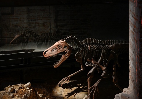 Smok wraca pod Wawel. Smocza Jama z nową trasą i efektami otwarta