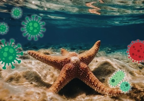 Wyglądają zdrowo, a umierają. Odkryli mechanizm podmorskiej makabry