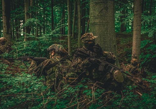 Ćwiczenia terenowe w Wapienicy. Mieszkańcy mogą spotkać umundurowane grupy