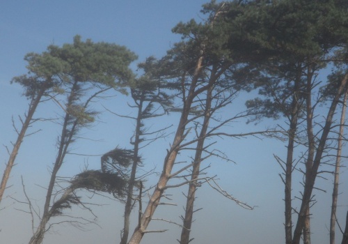 Ostrzeżenia II stopnia w tych regionach. Jest pilny alert RCB